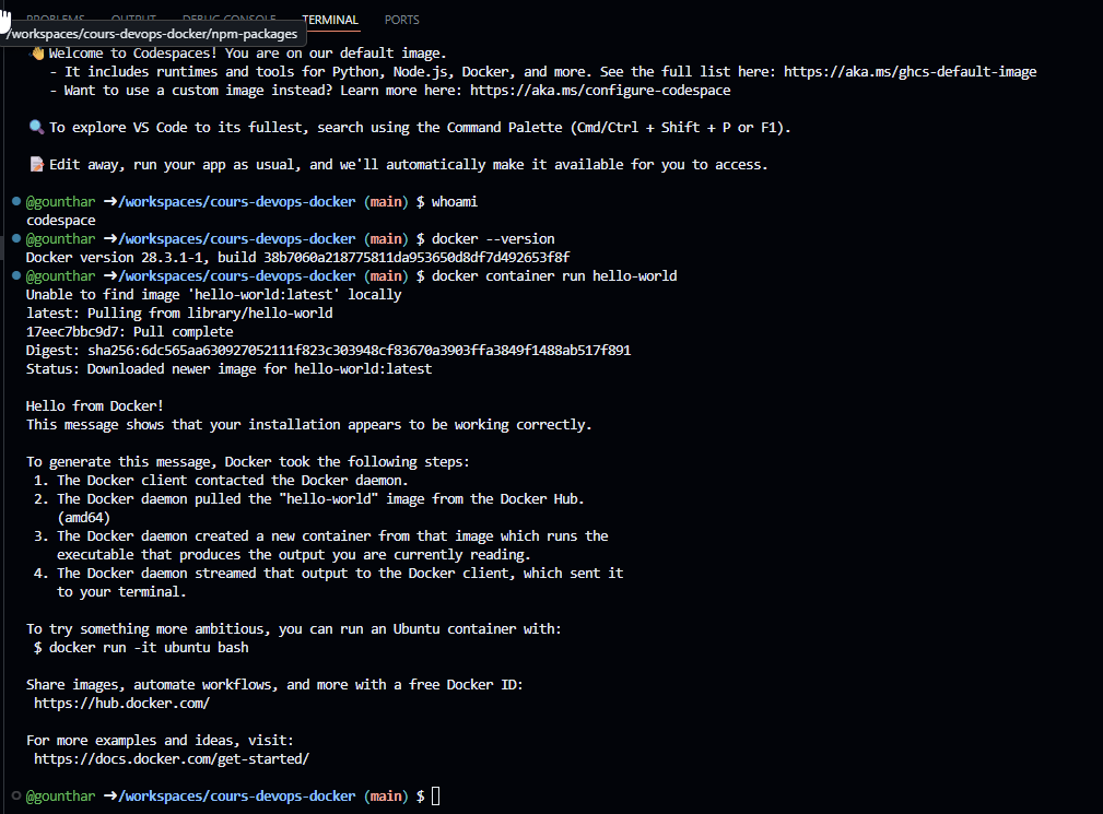 codespaces terminal output
