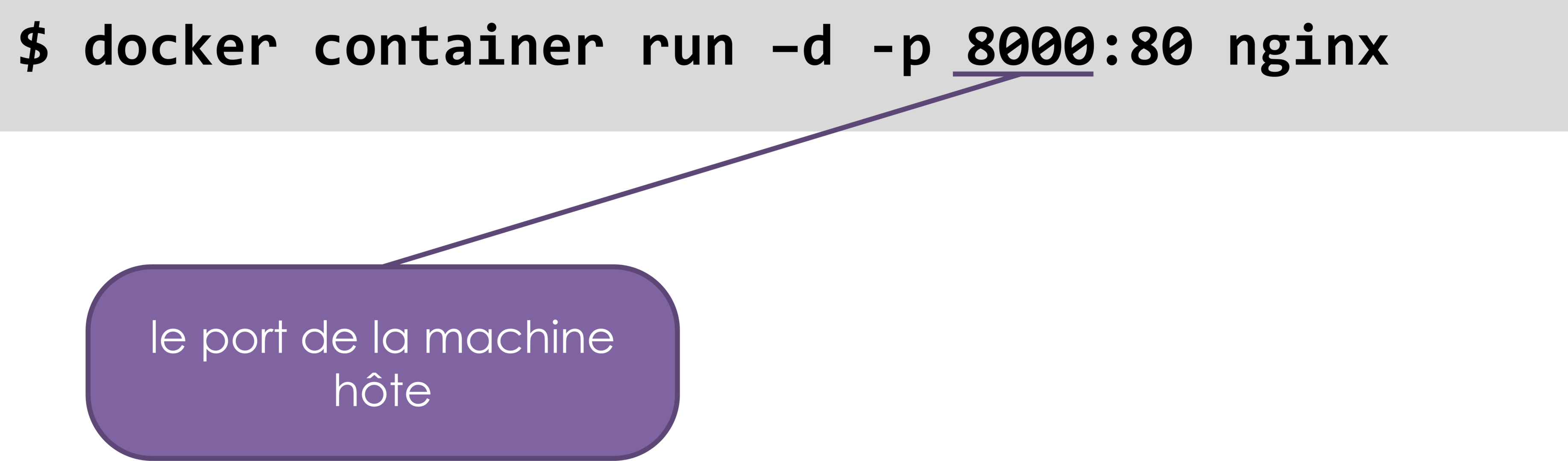reseaux output11 with transparency